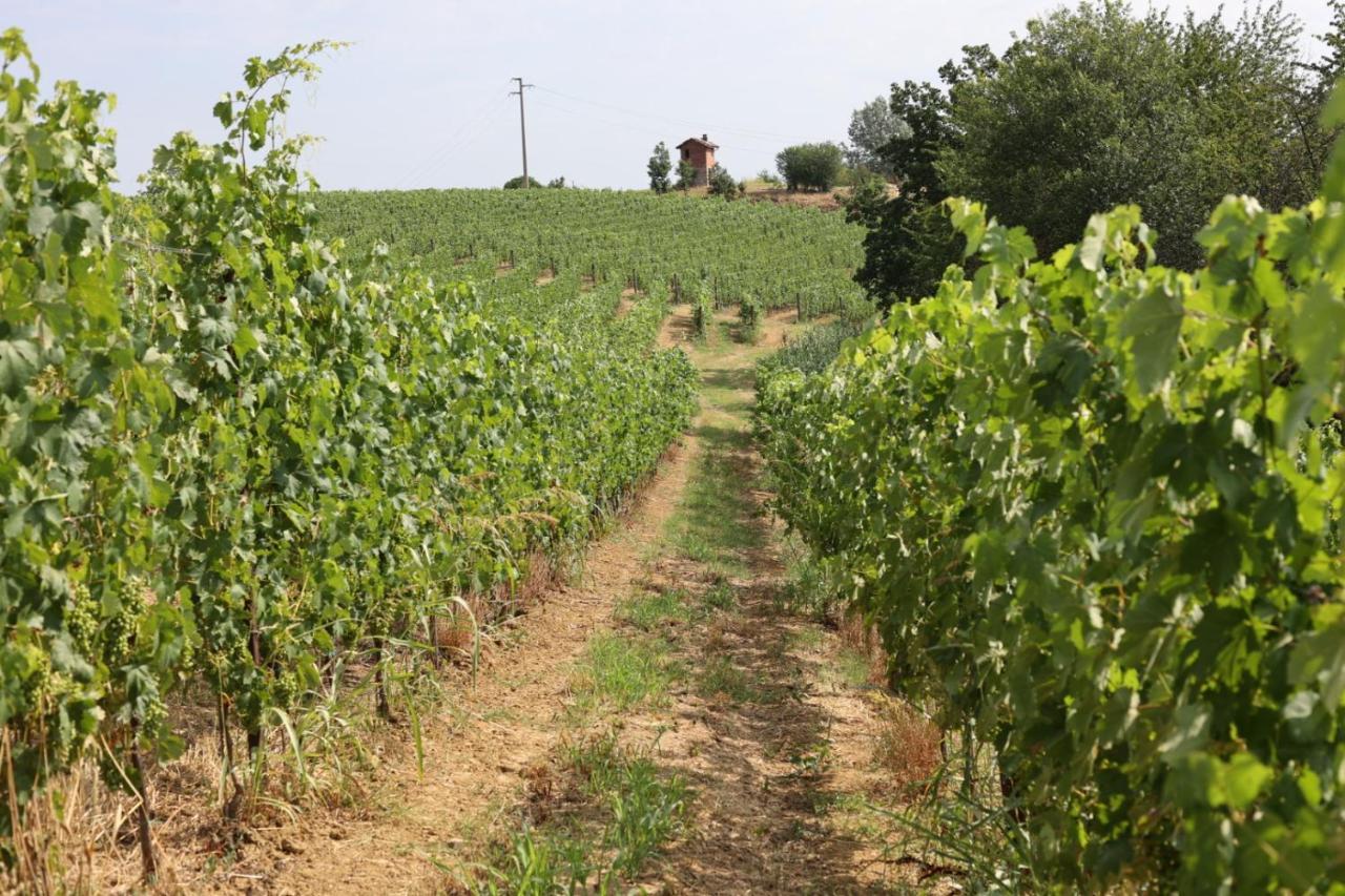 Braida Wine Resort Rocchetta Tanaro Exterior photo